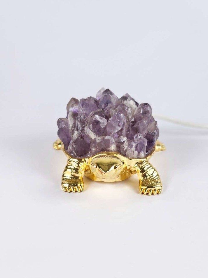Amethyst electric tortoise