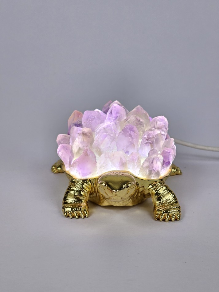 Amethyst electric tortoise